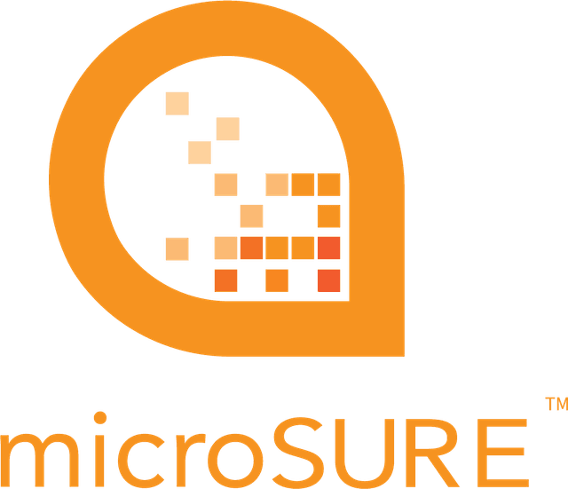 Microsure